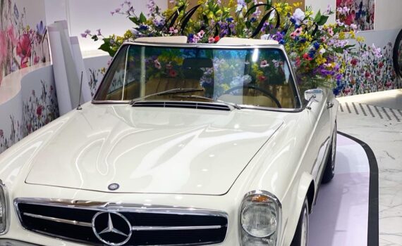 Dior valgte vores smukke Mercedes-Benz 230 SL