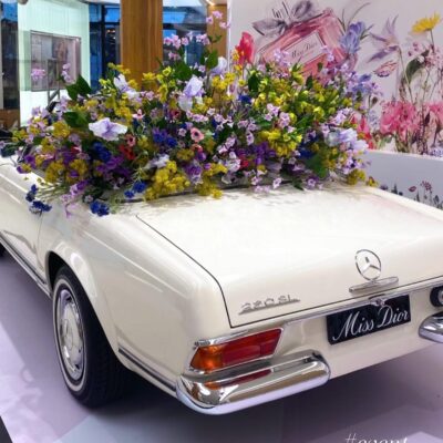 Merecedes-Benz 230 SL sammen med Dior